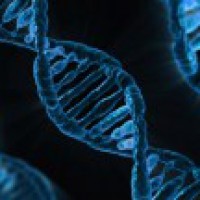 Environmental DNA can detect disease in pet trade
