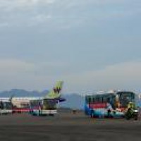 Domestic passenger flights to resume operations in Hubei