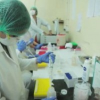 47,203 vaccinated in Gujarat, Covid tally 2,58,264