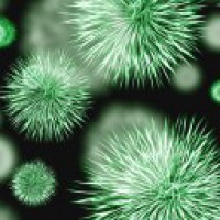 Neutralizing antibodies against Covid-19 virus identified