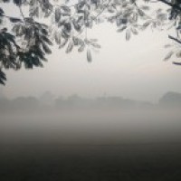 Fog covers partial solar eclipse in Delhi