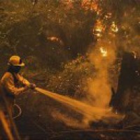 Oregon extends state of emergency for wildfire-affected counties