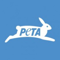 PETA demands Amer Fort elephants to be tested for tuberculosis