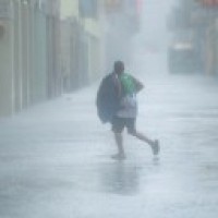 China renews blue alert for typhoon Vamco