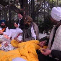 Farmers' cause: Cong MPs from Punjab continue Jantar Mantar sit-in