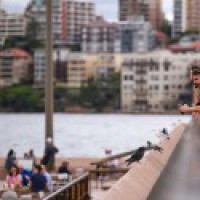 Aus states move to ease restrictions despite new COVID-19 cases