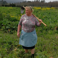 Photo of Donald Trump lookalike goes viral