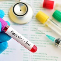 Kerala: Nipah virus outbreak claims 2 more lives