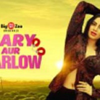 Arshi Khan: Great time to be on the web