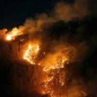 Brazil wildfires spark environmental emergency declaration
