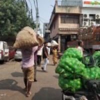 No supply shortage at Azadpur mandi, profiteers warned
