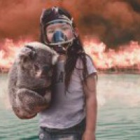 Australian teens praised for saving koalas from bushfires