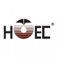 HOEC's liabilities overweigh assets: Another audit fraud in making?