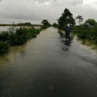 Flood situation remains grim in Assam, 4.63 lakh people affected