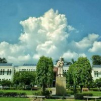 Jamia passout knocks Delhi HC for degree, marksheet