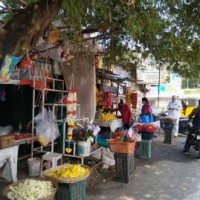 Barring few ailment-hit pockets, business as usual in Andhra's Eluru