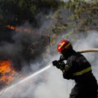 Nearly 4,000 people evacuated in Canada due to forest fire