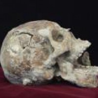 Woman's skeleton found in Maha home locked since 18 months
