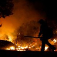 Wildfires burn over 4.1 mln acres in California