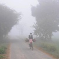 Cold wave subduing in Punjab, Haryana