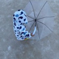 Neha Dhupia captures her 'little storm' Mehr in action