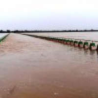 Flood warning in Karnataka's Krishna river basin