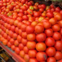 Tomato prices skyrocket to Rs 70/kg in Delhi-NCR