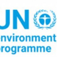 UNEP calls for adopting sustainable food systems