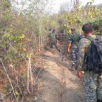 Maoist extremist nabbed in CRPF-police operation