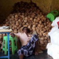 MSP for dehusked coconut up by 5% at Rs 2,700 per quintal