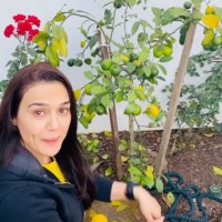 Preity Zinta is back to 'ghar ki kheti'