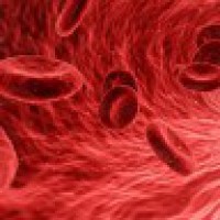 Blood tests can predict risk of severe liver disease