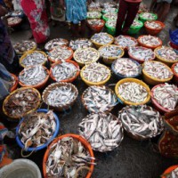Narrow escape for 7 fishermen as boat sinks at sea
