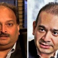 ED seeks non-bailable warrant against Choksi, permission to search Nirav's house