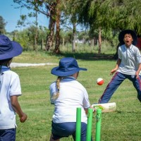 T20   EXAMS - TAKE IT EASY