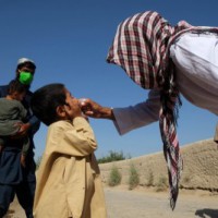 Afghanistan launches polio vaccination targeting 9.9mn kids