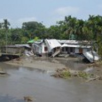 Assam flood situation critical; 76 dead, 36 lakh in distress