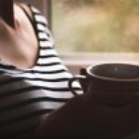 Himachal scientists develop immunity booster herbal tea