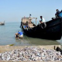 Rs 140-cr MoU inked for modernising Cochin Fisheries Harbour