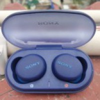 SonyWF-XB700: Value for money earbuds