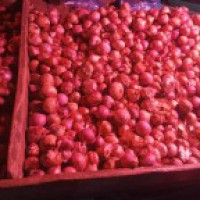 No respite from rising onion prices till Dec, potato prices decline