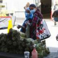 Application process opens for Canadian govt's food surplus program
