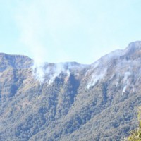 Battle against wildfire in Nagaland, Manipur continues