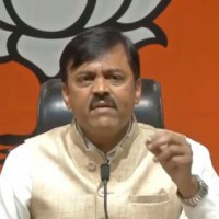 Twin surgical strikes needed in Andhra Pradesh: BJP MP