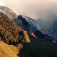 Dzukou Valley wildfire: Shah calls up Manipur CM, assures all help