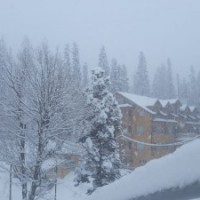 Fog and frost affect normal life in J&K