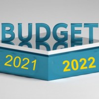 India's FY22 budget has potential to lift growth: Fitch Ratings