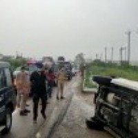 Cows, buffaloes caused accident of car carrying Dubey: STF