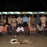 Pangolin trading racket busted in Karnataka's Chikkamagaluru, 10 held