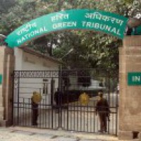 Act against discharge of sewage, waste in sea: NGT to coastal states